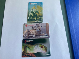 - 4 - Russia Chip Novosibirsk 3 Different Phonecards Animal - Russie