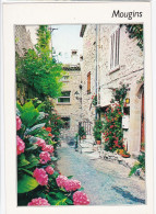 Mougins - Lou Caladou - Mougins