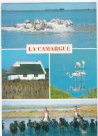 La Camargue - Terre Des Grands Espaces - Sonstige & Ohne Zuordnung
