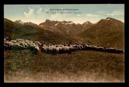 05 - BRECS DU CHAMBEYRON - TROUPEAU DE MOUTONS - Other & Unclassified