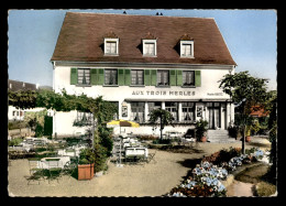 68 - AMMERSCHWIHR - HOTEL-RESTAURANT DES TROIS MERLES - Other & Unclassified