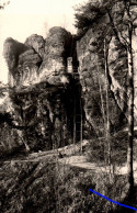 H2435 - Fels Rauenstein Sächsische Schweiz Lehmannschlucht - A. Weyhmann - Königstein (Sächs. Schw.)