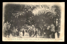 ALGERIE - PERREGAUX - LE JARDIN PUBLIC - Other & Unclassified