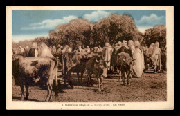 ALGERIE - RELIZANE - MARCHE ARABE - LES BOEUFS - Altri & Non Classificati