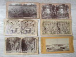 PHOTO STEREOSCOPIQUE -HONOLULU- ETATS UNIS - JAMAÏQUE - Lot De 6 Vues Sur Carton épais - Stereoscopic