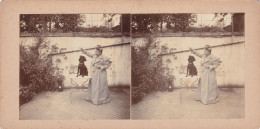 CANICHE DRESSAGE - Photos Stéréoscopiques La Leçon, Caniche Monté Sur La Table Dans L'attente D'une Récompense Vers 1900 - Stereoscopic