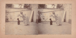 CANICHE DRESSAGE - Photos Stéréoscopiques La Leçon, Caniche Dans L'attente D'une Récompense Vers 1900 - Stereoscoop