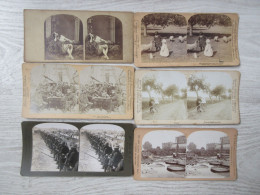 PHOTO STEREOSCOPIQUE -SUJETS DIVERS - Lot De 6 Vues Sur Carton épais - Stereoscopio