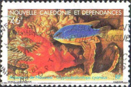 Nle-Calédonie Poste Obl Yv: 552 Mi:822 Glyphidodontops Cyaneus (Belle Obl.mécanique) - Gebruikt