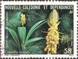 Nle-Calédonie Poste Obl Yv: 521 Orchidées Calédoniennes Calanthe Langei (Dents Courtes) - Usados