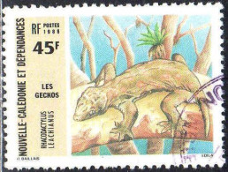 Nle-Calédonie Poste Obl Yv: 517 Mi:780 Les Geckos Rhacodactylus Leachianus (Beau Cachet Rond) - Oblitérés