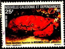 Nle-Calédonie Poste Obl Yv: 454 Mi:682 Etisus Splenditus (Beau Cachet Rond) - Used Stamps