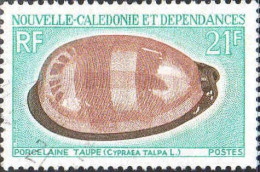 Nle-Calédonie Poste Obl Yv: 371 Mi:487 Porcelaine Taupe Cypraea Talpa L (cachet Rond) - Gebraucht