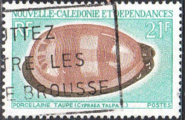 Nle-Calédonie Poste Obl Yv: 371 Mi:487 Porcelaine Taupe Cypraea Talpa L (Belle Obl.mécanique) - Usati