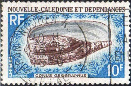Nle-Calédonie Poste Obl Yv: 354 Mi:458 Conus Geographus Noumea 15-7-1970 (TB Cachet à Date) - Oblitérés
