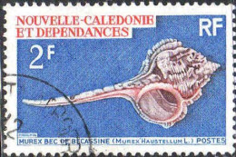 Nle-Calédonie Poste Obl Yv: 358 Mi:469 Murex Bec De Bécassine Murex Haustellum L (Beau Cachet Rond) - Gebruikt