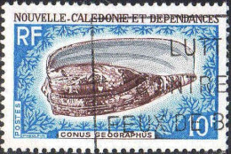 Nle-Calédonie Poste Obl Yv: 354 Mi:458 Conus Geographus (Belle Obl.mécanique) - Usati
