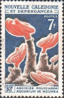 Nle-Calédonie Poste Obl Yv: 322/324 Aquarium De Nouméa (cachet Rond) - Used Stamps