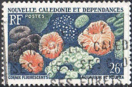 Nle-Calédonie Poste Obl Yv: 294 Mi:367 Coraux Fluorescents Aquarium De Nouméa (Belle Obl.mécanique) - Gebruikt