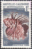 Nle-Calédonie Poste Obl Yv: 291 Mi:364 Brachyrus Zebra (Beau Cachet Rond) - Used Stamps