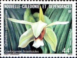 Nle-Calédonie Poste N** Yv: 520/521 Flore Calédoniennes Orchidées - Nuovi