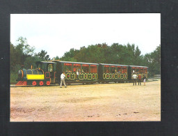 ARLES - DOMAINE DE MEJANES EN CAMARGUE - LE PETIT TRAIN DU VACCARES  (FR 20.183) - Arles