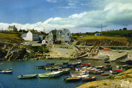 CPSM  PLOUHINEC-PLOZEVET -  Le Petit Port De Pêche De Pors-Poulhan. - Plouhinec