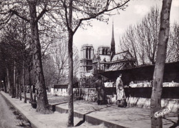 75 - PARIS 01 - Les Bouquinistes Sur Les Quais - Distretto: 01