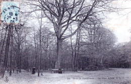 75 - PARIS 12 -  Bois De Vincennes - Le Gros Arbre - Distrito: 12