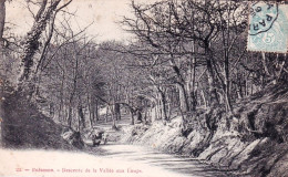 92 - Hauts De Seine  -  ROBINSON (  Plessis-Robinson ) - Descente De La Vallée Aux Loups - Andere & Zonder Classificatie