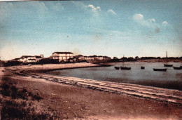 17 - Charente Maritime -  Ile De Ré - Port De RIVEDOUX - Sainte Marie De Ré - Sonstige & Ohne Zuordnung