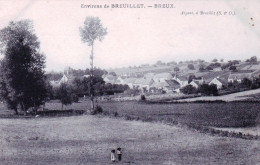 91 - Essonne -  BREUX  - Environs De Breuillet - Vue Generale - Other & Unclassified