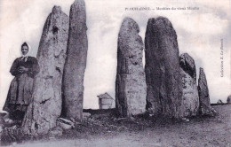 56 - Morbihan -  PLOUHARNEL -  Menhirs Du Vieux Moulin - Other & Unclassified