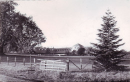 72 - Sarthe -  BERNAY  En CHAMPAGNE - Carmel Sainte Anne De Bordigne - Vue Du Couvent - Autres & Non Classés