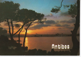 Antibes - Coucher De Soleil - Other & Unclassified