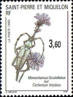 SPM Poste N** Yv: 575  Monochamus Scutellatus Sur Cichorium Intybus (Thème) - Sonstige & Ohne Zuordnung