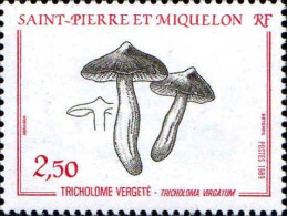 SPM Poste N** Yv: 497 Tricholome Vergeté-Tricholoma Vergatum (Thème) - Mushrooms