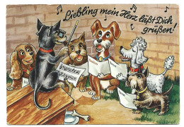 Hond Orkest Fantasie Kaart Dog Orchestra Chien Photo Carte Humour Humor Foto Prentkaart AK Htje - Hunde