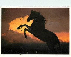 Format Spécial - 160 X 115 Mms - Animaux - Chevaux - Al.so Reproduced In Horses Ofthe Sun, Benedikt Taschen Verlag - Pho - Horses