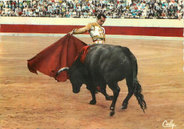 Corrida - Une Monoletine De Luis Miguel Dominguin - CPM - Voir Scans Recto-Verso - Corridas