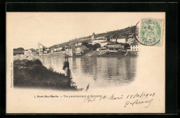CPA Port-Ste-Marie, Vue Panoramique Et Garonne  - Other & Unclassified