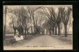 CPA Port-Ste-Marie, Promenade Du Désert  - Autres & Non Classés