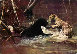 Animaux - Fauves - Jaguar - Jaguar Et Jaguar Noir - CPM - Carte Neuve - Voir Scans Recto-Verso - Other & Unclassified