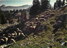 Animaux - Moutons - Dauphiné - CPM - Voir Scans Recto-Verso - Sonstige & Ohne Zuordnung