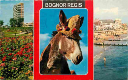 Animaux - Anes - Bognor Regis - CPM - Voir Scans Recto-Verso - Burros