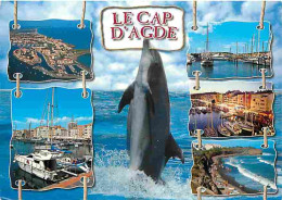 Animaux - Dauphins - CPM - Voir Scans Recto-Verso - Delphine