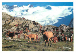 Animaux - Chèvres - Montagne - CPM - Voir Scans Recto-Verso - Autres & Non Classés