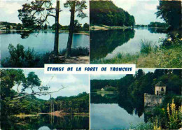 03 - Foret De Tronçais - Multivues - Carte Dentelée - CPSM Grand Format - Carte Neuve - Voir Scans Recto-Verso - Sonstige & Ohne Zuordnung