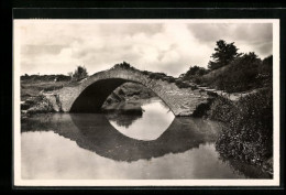 CPA L`Isle-Jourdain, Vieux Pont Sur La Save  - Otros & Sin Clasificación