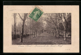 CPA Eauze, Promenade Du Fossé-Neuf  - Sonstige & Ohne Zuordnung